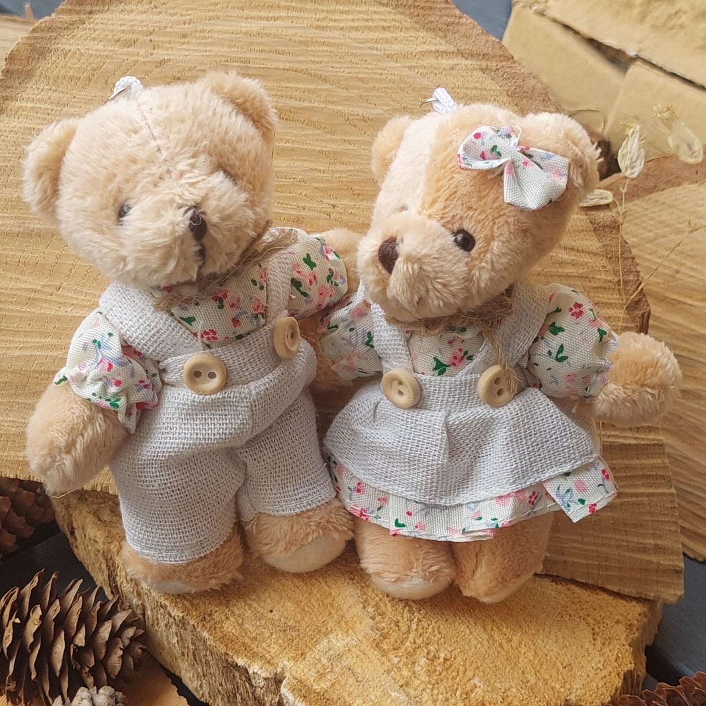 Inseparable Plush Toy Pair – Bear & Bunny Friends, 12 cm Softies, Keychain, Desk or Shelf Decor, Magical Gift Set