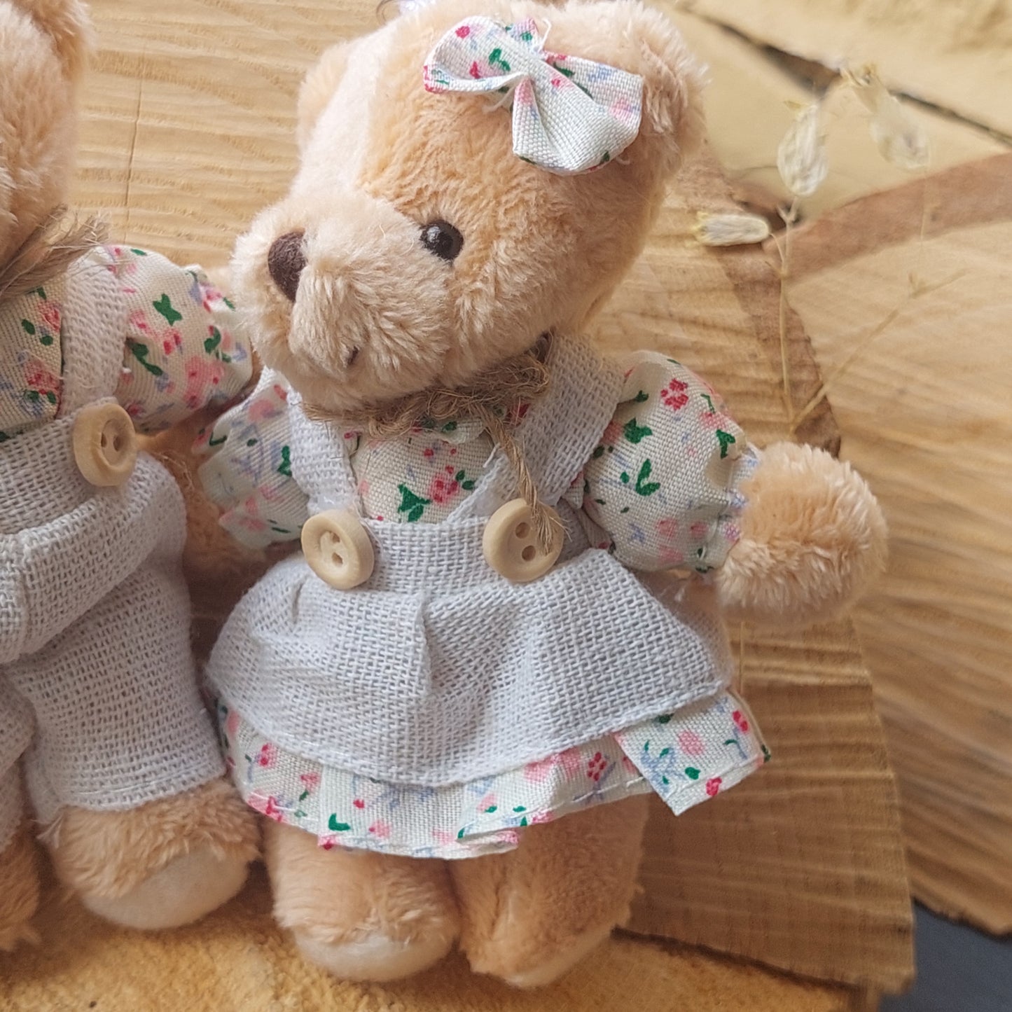 Inseparable Plush Toy Pair – Bear & Bunny Friends, 12 cm Softies, Keychain, Desk or Shelf Decor, Magical Gift Set