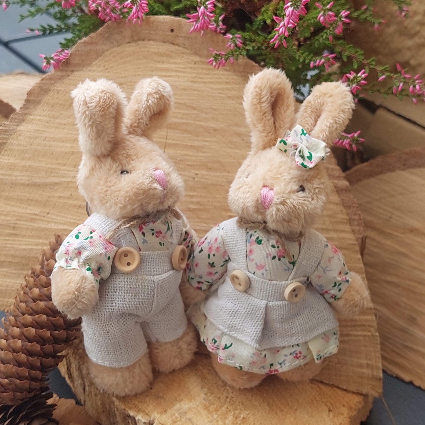 Inseparable Plush Toy Pair – Bear & Bunny Friends, 12 cm Softies, Keychain, Desk or Shelf Decor, Magical Gift Set