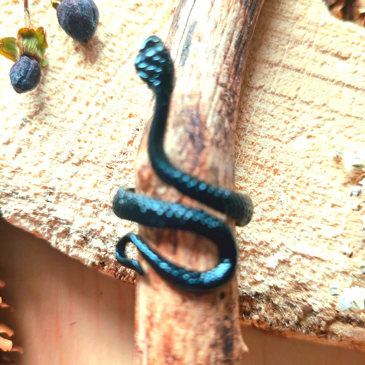 Ringe mit Fabelwesen: Drache, Schlange, Frosch, Eidechse – Einzigartiger Statement-Schmuck für Damen und Herren